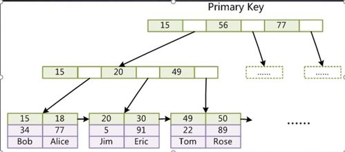 MySQL存储引擎、事务、索引与优化及数据处理支持服务全解析